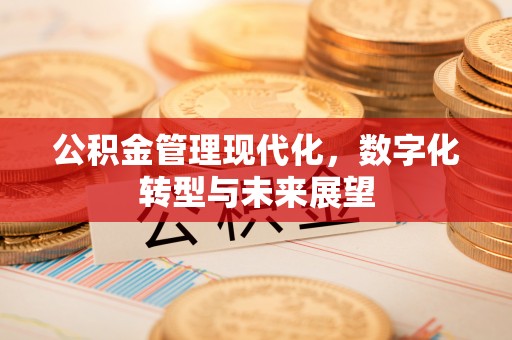 全方位公积金管理现代化，数字化转型与未来展望