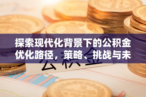 全方位探索现代化背景下的公积金优化路径，策略、挑战与未来展望