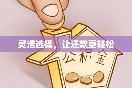 全方位灵活选择，让还款更轻松