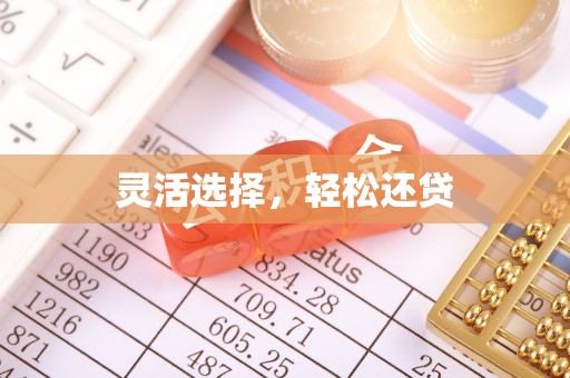 全方位灵活选择，轻松还贷