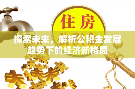 全方位探索未来，解析公积金发展趋势下的经济新格局