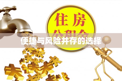 全方位便捷与风险并存的选择